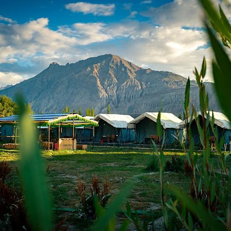 Green Throne Camp Bed & Breakfast เลห์ ภายนอก รูปภาพ